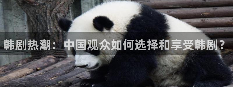 三叉戟1在线观看完整版免费星辰影院