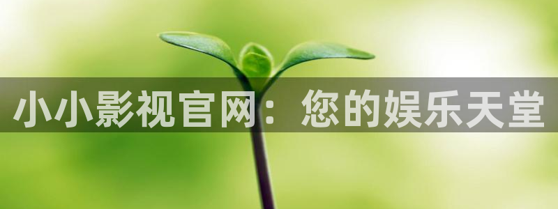 星辰影院观看免费