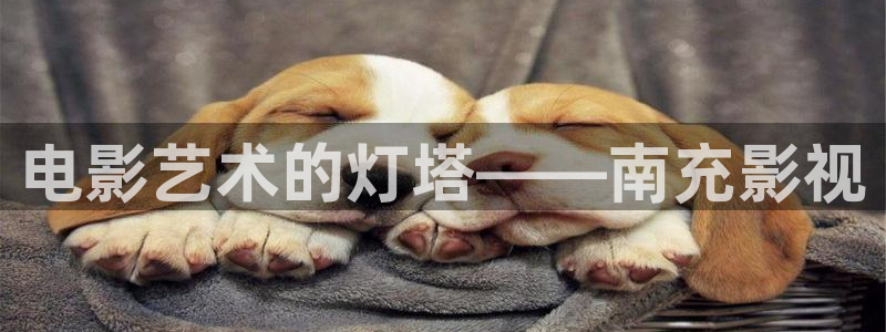 闪耀的她星辰影院